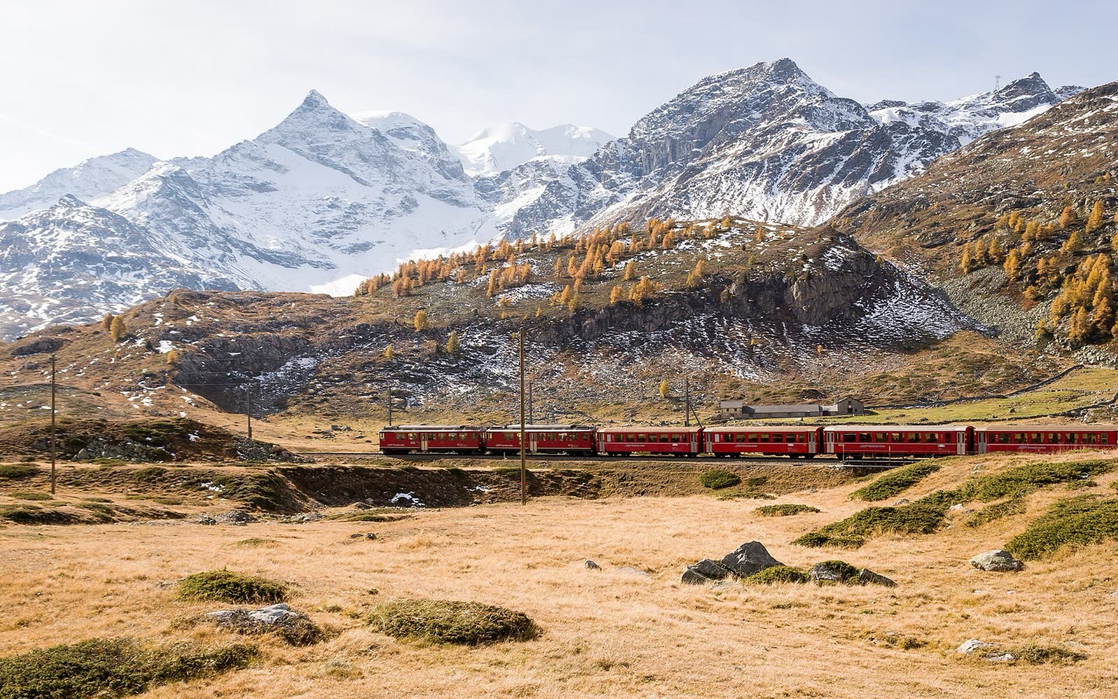 El Bernina Express cerca del Ospizio Bernina en otoño